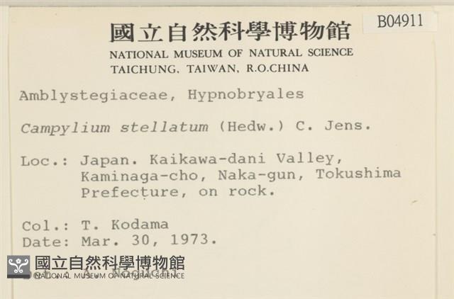 登錄號:B00004911藏品圖，第2張