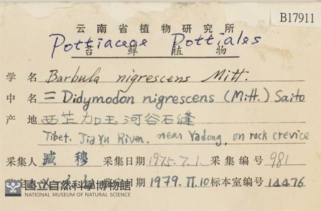 黑扭口蘚藏品圖，第2張