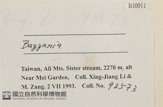 登錄號:B00010911藏品圖，第2張
