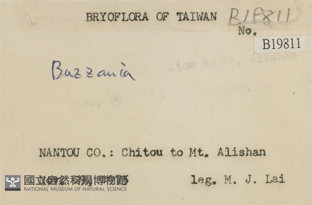 登錄號:B00019811藏品圖，第2張