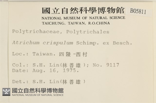 卷葉仙鶴蘚藏品圖，第2張