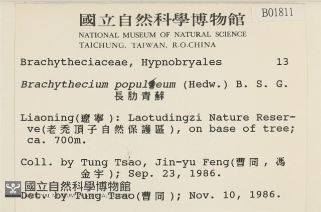 長肋青蘚藏品圖，第2張