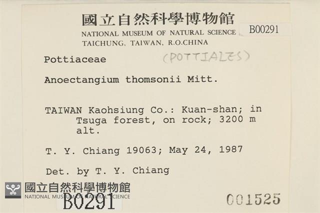 索氏叢本蘚藏品圖，第2張
