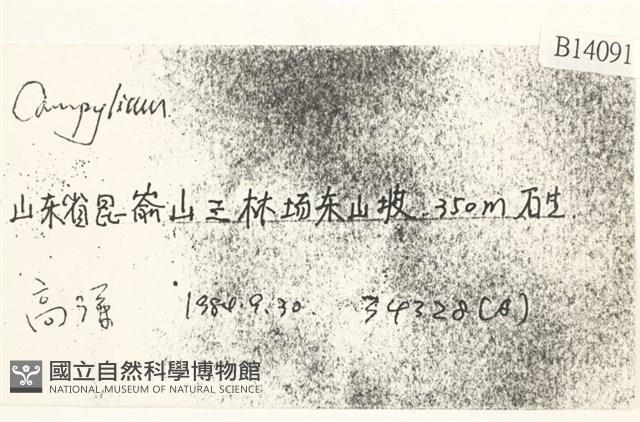 登錄號:B00014091藏品圖，第2張