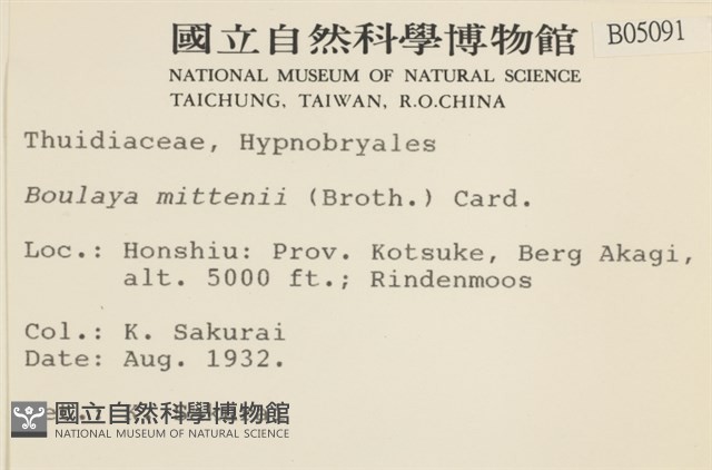 蟲毛蘚藏品圖，第2張