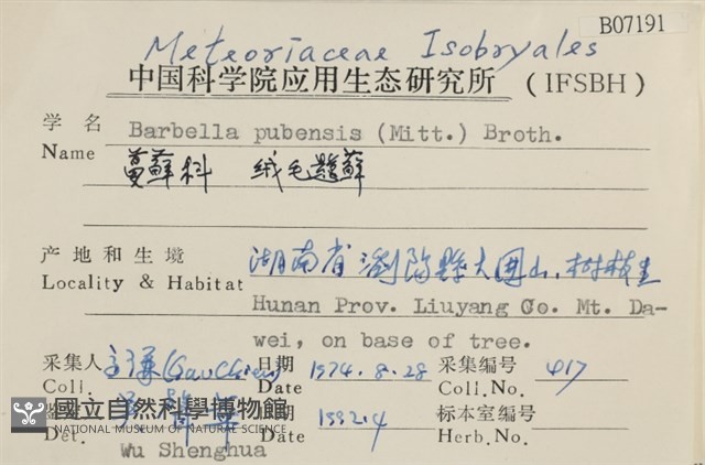 絨毛懸蘚藏品圖，第2張