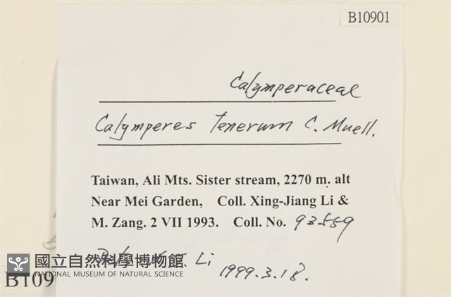 登錄號:B00010191藏品圖，第2張