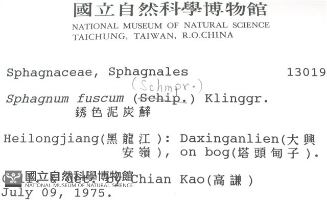 銹色泥炭蘚藏品圖，第2張