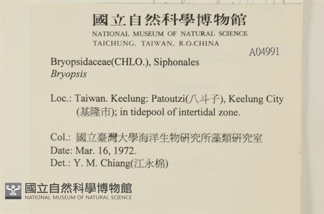 登錄號:A00004991藏品圖，第2張