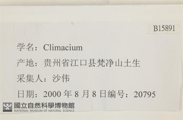 登錄號:B00015891藏品圖，第2張