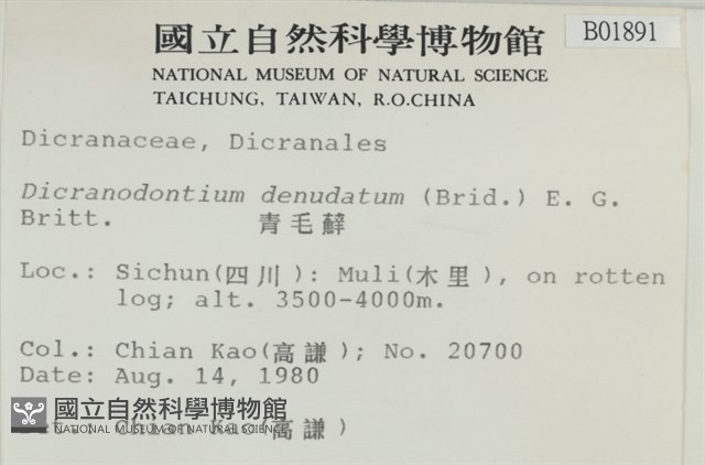 青毛苔藏品圖，第2張
