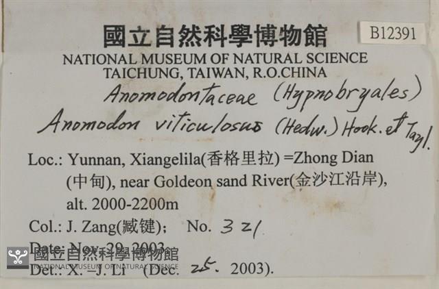 登錄號:B00012391藏品圖，第2張