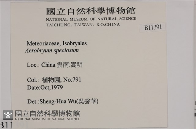 登錄號:B00011391藏品圖，第2張