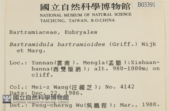 登錄號:B00003391藏品圖，第2張