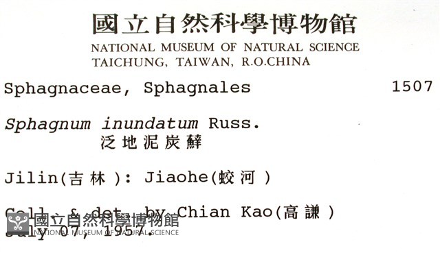泛地泥炭蘚藏品圖，第2張