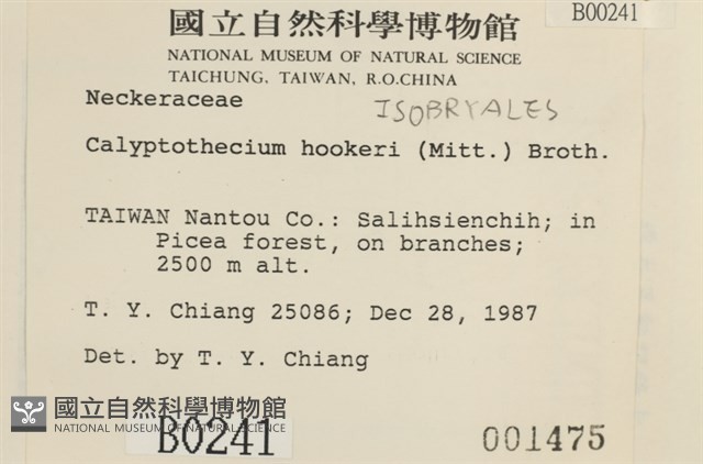 登錄號:B00000241藏品圖，第2張