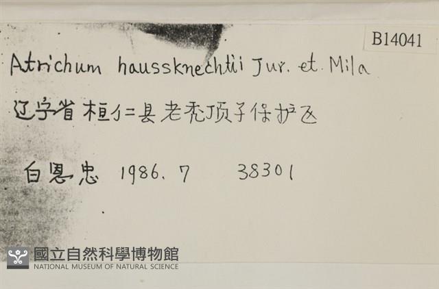 仙鶴蘚藏品圖，第2張