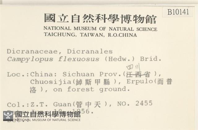 曲柄蘚藏品圖，第2張