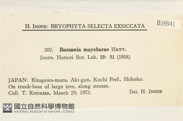 登錄號:B00016941藏品圖，第2張