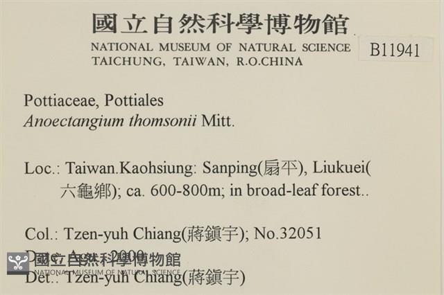 索氏叢本蘚藏品圖，第2張