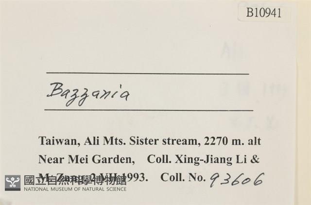 登錄號:B00010941藏品圖，第2張