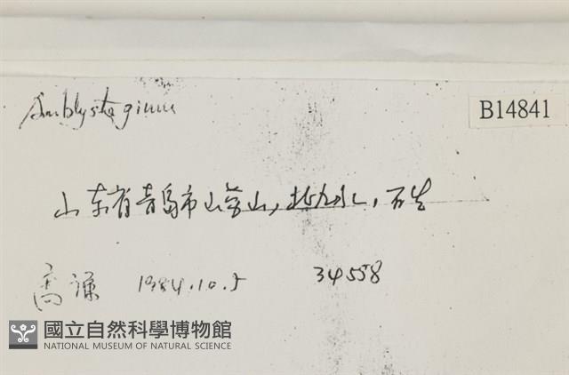 登錄號:B00014841藏品圖，第2張