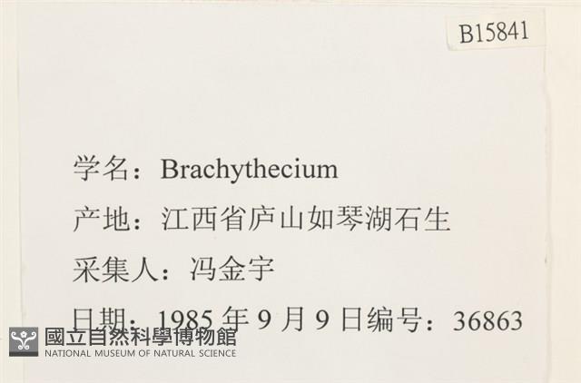 登錄號:B00015841藏品圖，第2張