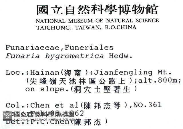 葫蘆蘚藏品圖，第2張