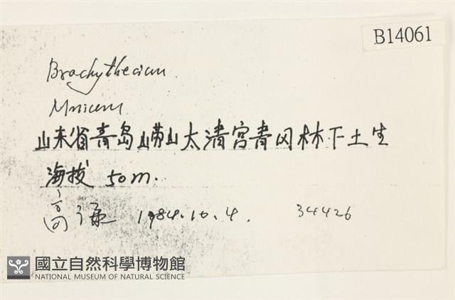 登錄號:B00014061藏品圖，第2張