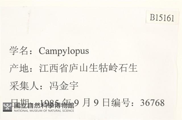 登錄號:B00015161藏品圖，第2張