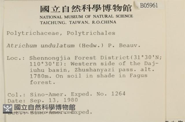 仙鶴蘚藏品圖，第2張