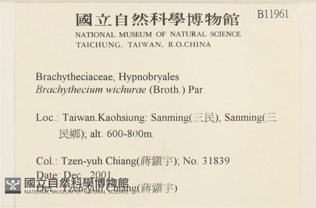 威氏青蘚藏品圖，第2張