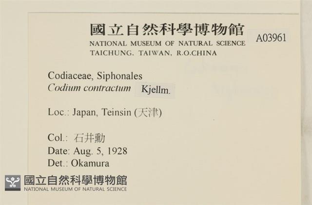 登錄號:A00003961藏品圖，第2張