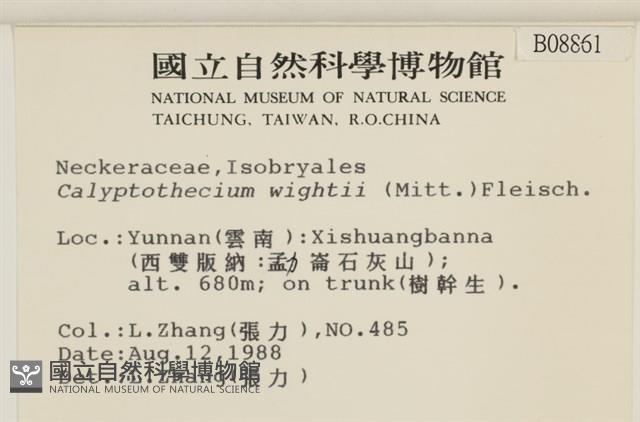 登錄號:B00008861藏品圖，第2張