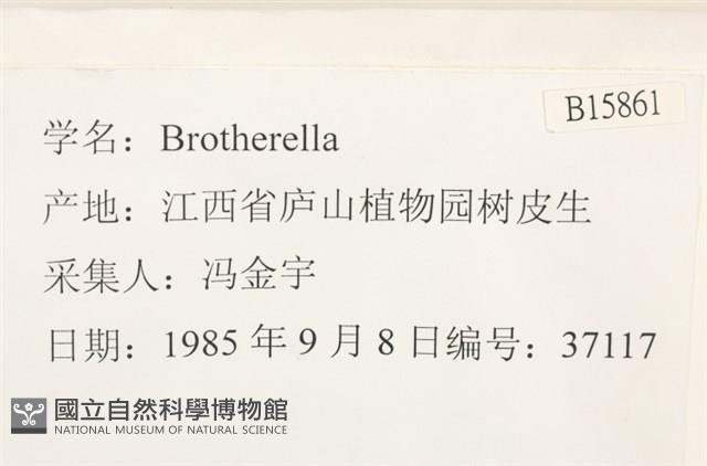 登錄號:B00015861藏品圖，第2張