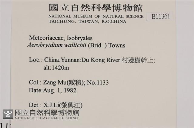 登錄號:B00011361藏品圖，第2張