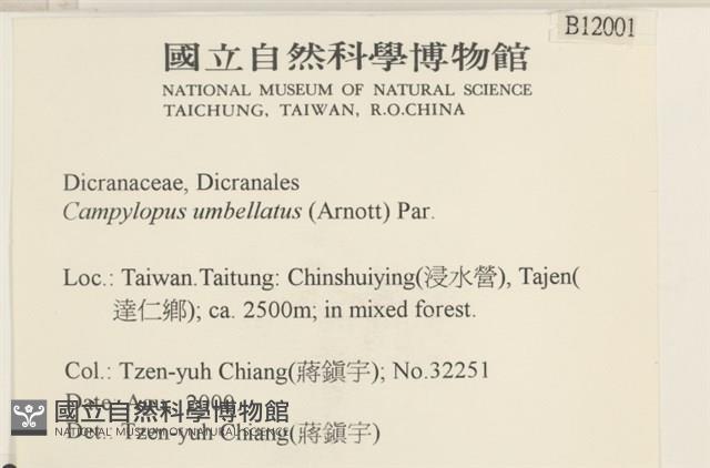 登錄號:B00012001藏品圖，第2張