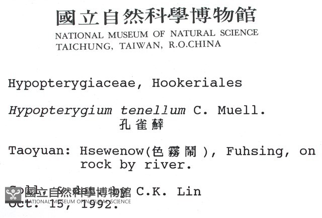 南亞孔雀蘚藏品圖，第2張
