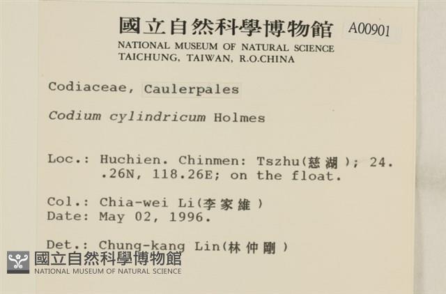 登錄號:A00000901藏品圖，第2張