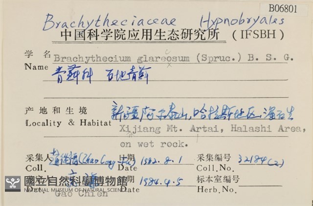 石地青蘚藏品圖，第2張