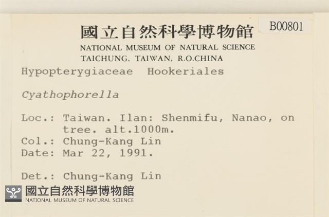 登錄號:B00000801藏品圖，第2張