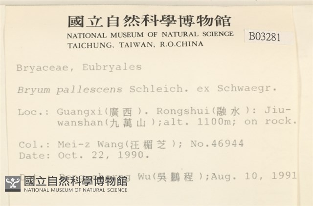 黃色真蘚藏品圖，第2張