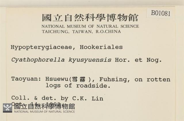 登錄號:B00001081藏品圖，第2張