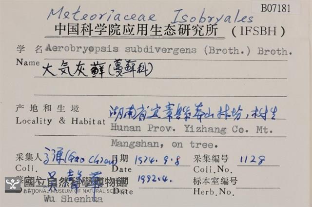 大灰氣蘚藏品圖，第2張