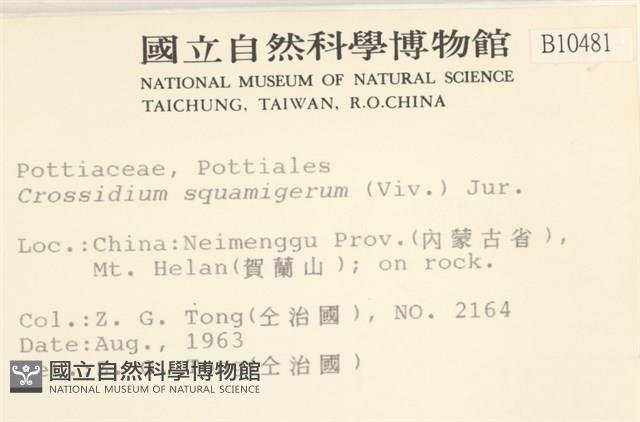 登錄號:B00010481藏品圖，第2張