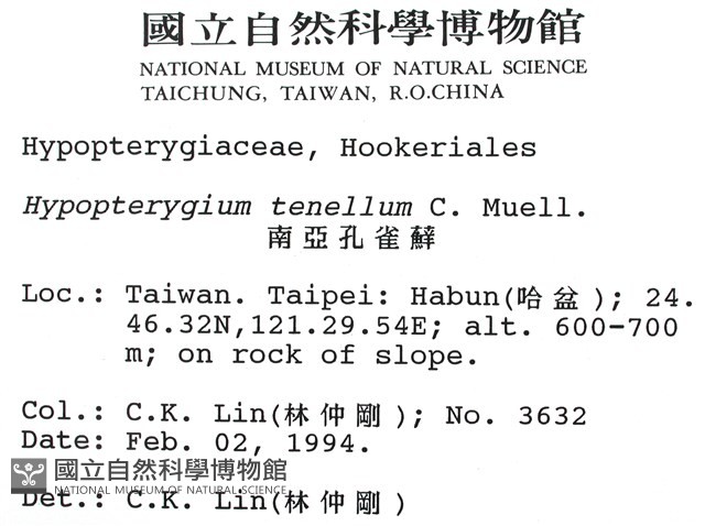 南亞孔雀蘚藏品圖，第2張