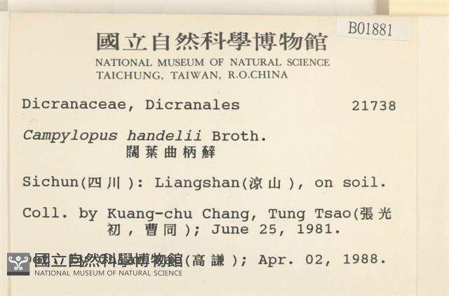 闊葉曲柄蘚藏品圖，第2張