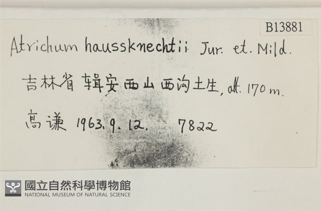 仙鶴蘚藏品圖，第2張