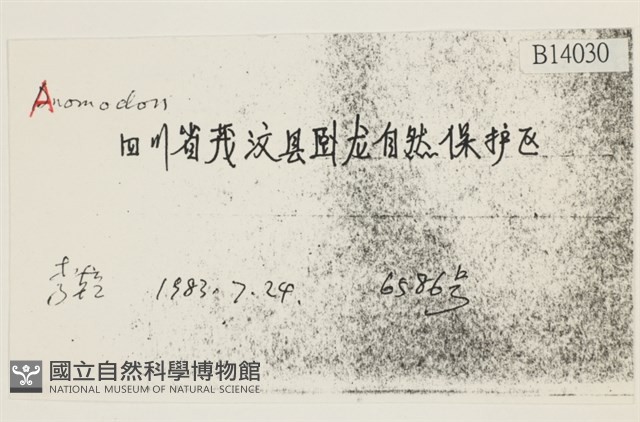 登錄號:B00014030藏品圖，第2張