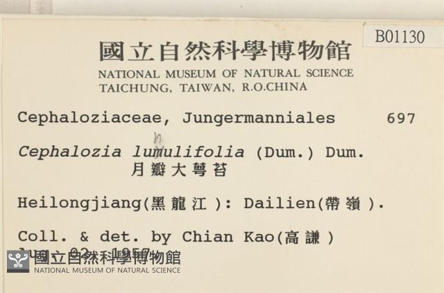 登錄號:B00001130藏品圖，第2張